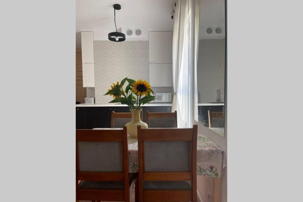 Apartament Seagull 30M2 Hel Kültér fotó
