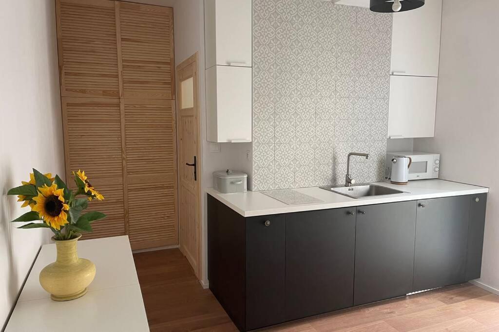 Apartament Seagull 30M2 Hel Kültér fotó